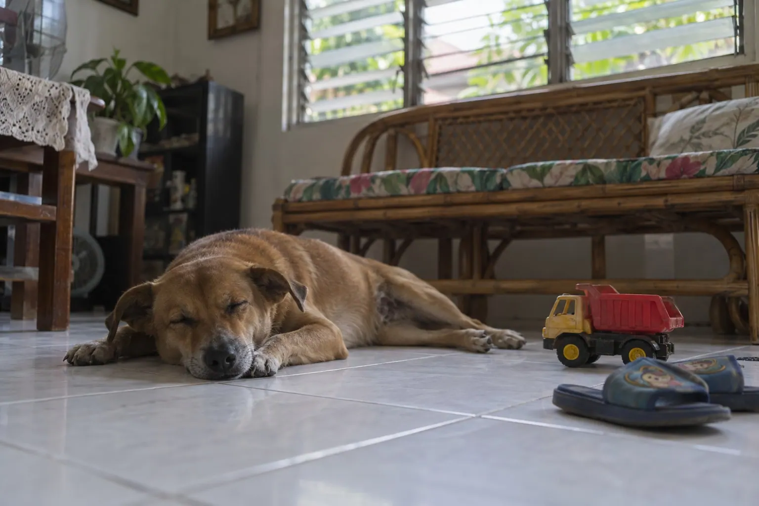 A dog asleep on a tiled floor beside a toy truck and a child’s slippers