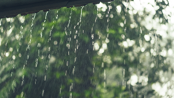 Exterior view seen from inside a house: rain drops on window glass, overcast outdoors.